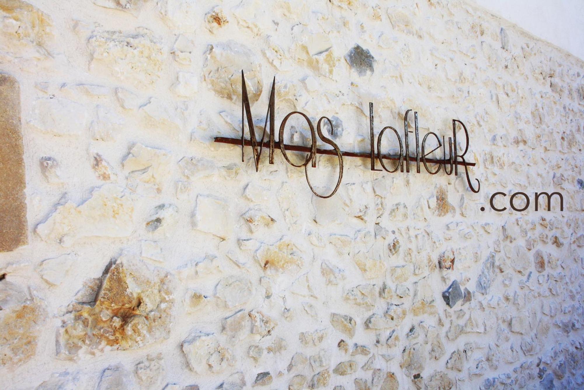 Mas Lafleur Bed & Breakfast Châteaurenard Екстериор снимка